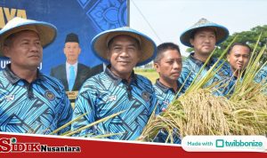 sn3watermark-d8228e4c-8df3-445f-a39d-71b9987e8776