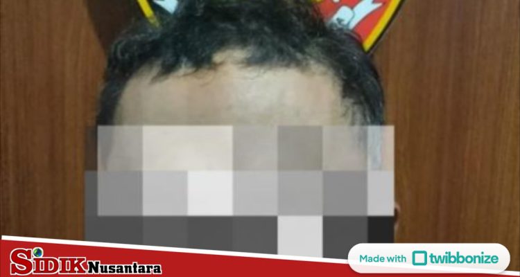 sn3watermark-b92f4929-27fe-4c78-95a9-a64895b98666